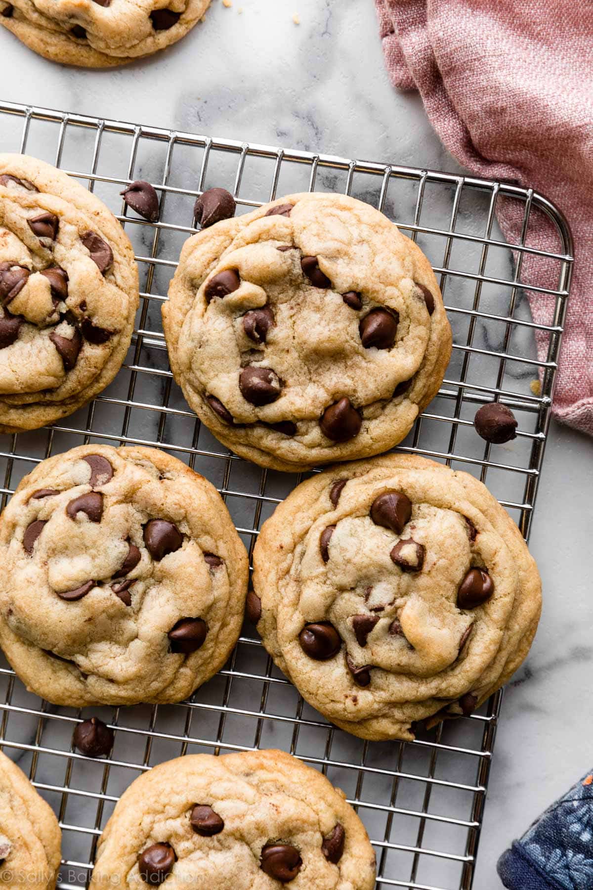 French Divine Chocolate Chip Cookie
